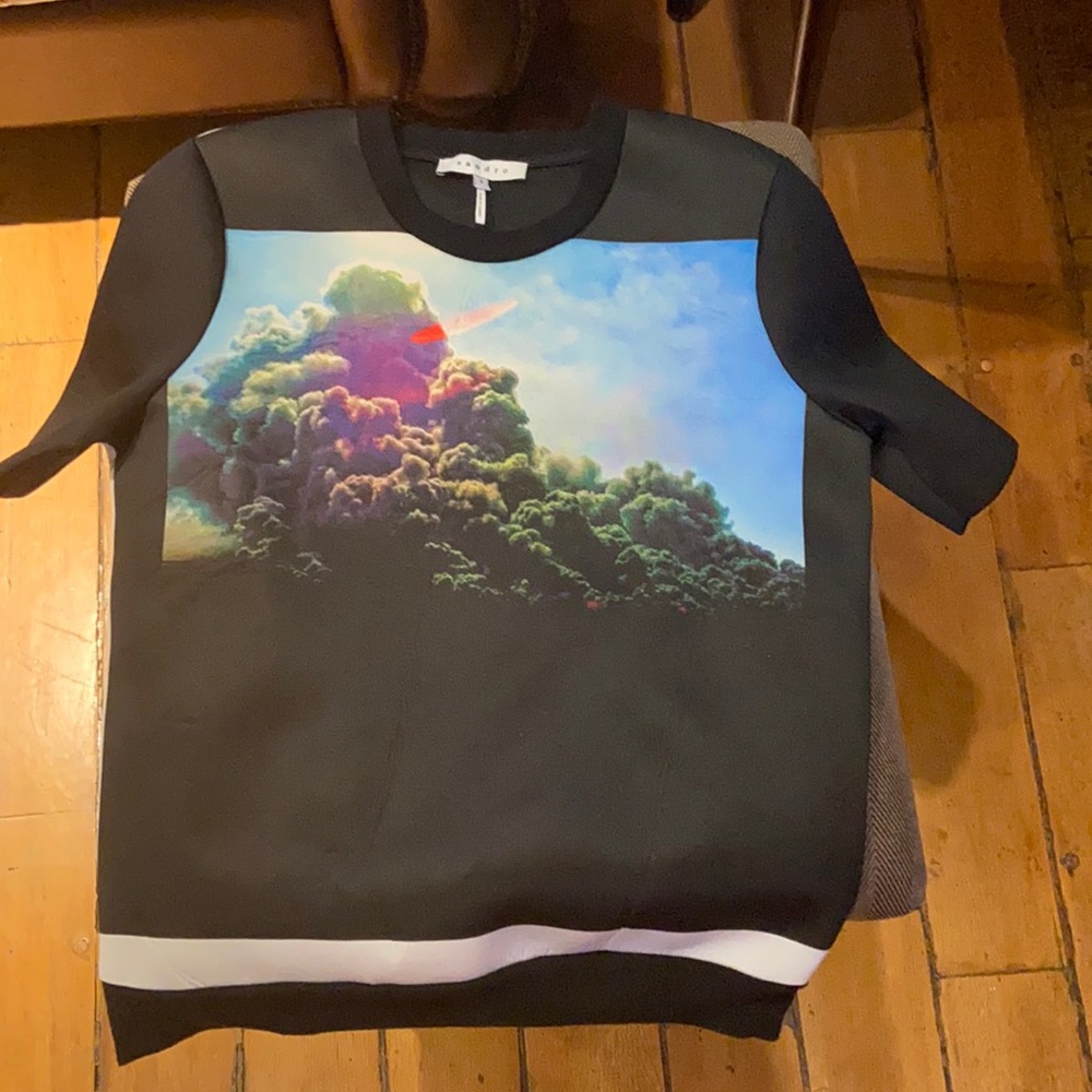 Sandro think fabric top